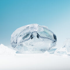 Lenti per occhiali SHIELD - Fumo trasparente / Grigio fotocromatico