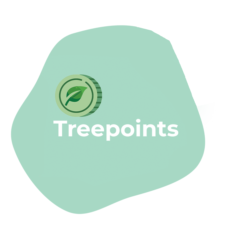 A tree - by Treepoints